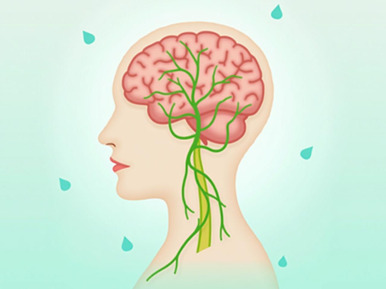 Illustration of the vagus nerve connecting the brain to various organs, with calming colors and a peaceful background.